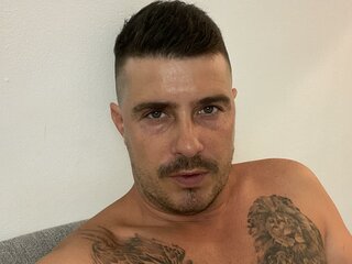 SocialLion real ass
